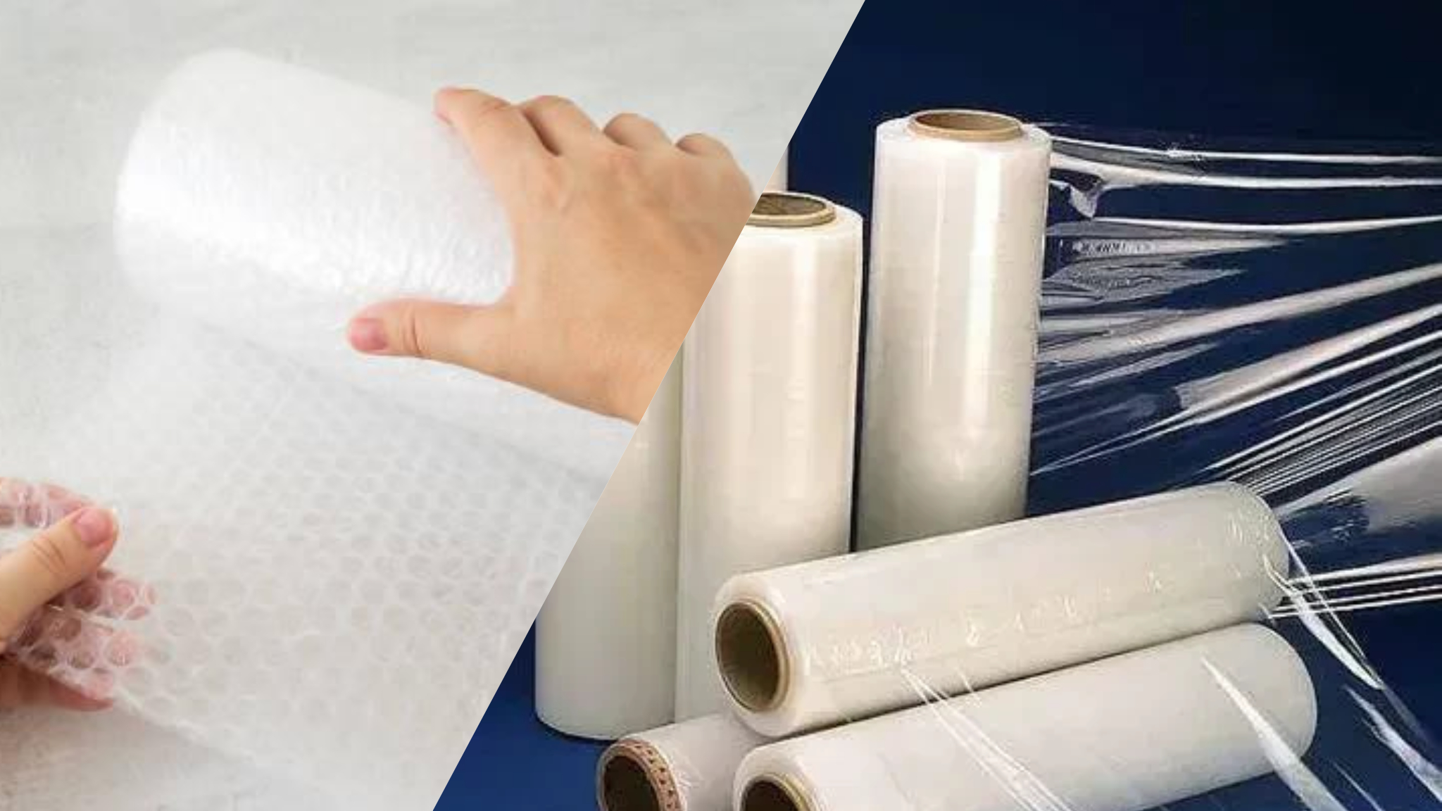 Website & Web Application Development